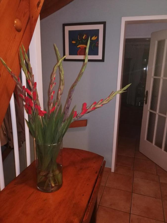 Haus Meersburg Garten Εξωτερικό φωτογραφία