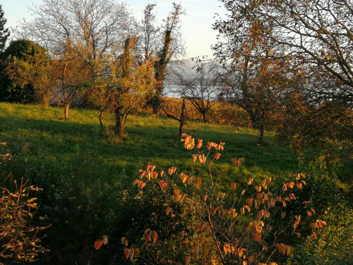 Haus Meersburg Garten Εξωτερικό φωτογραφία
