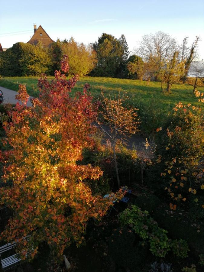 Haus Meersburg Garten Εξωτερικό φωτογραφία