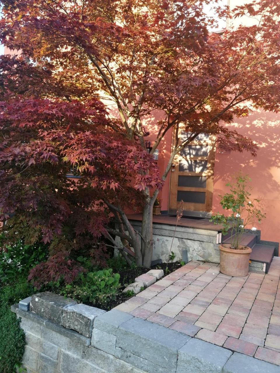 Haus Meersburg Garten Εξωτερικό φωτογραφία