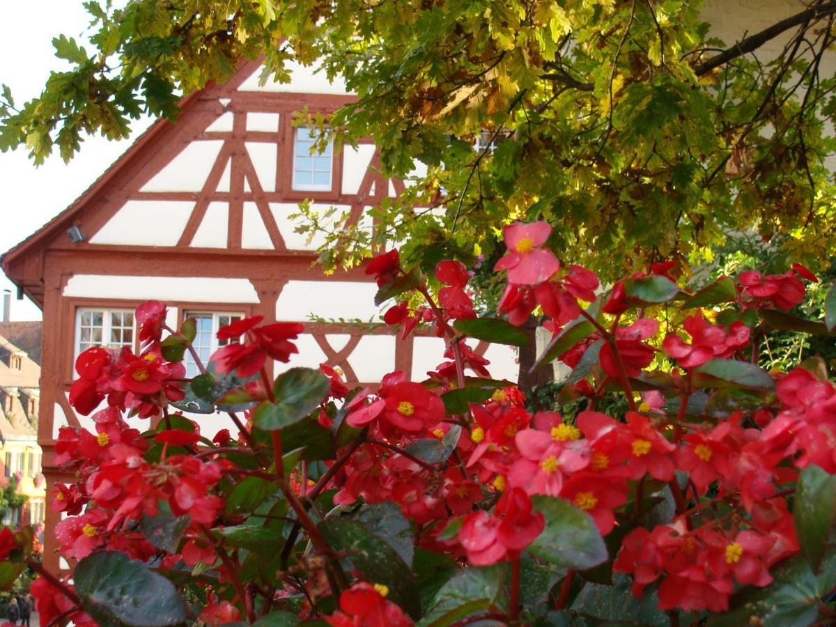 Haus Meersburg Garten Εξωτερικό φωτογραφία